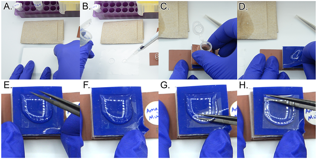 Figure 19: