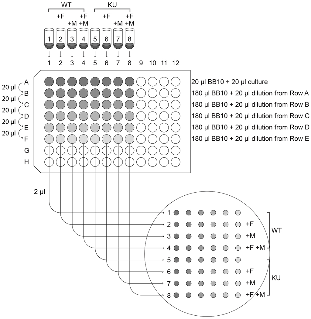 Figure 4: