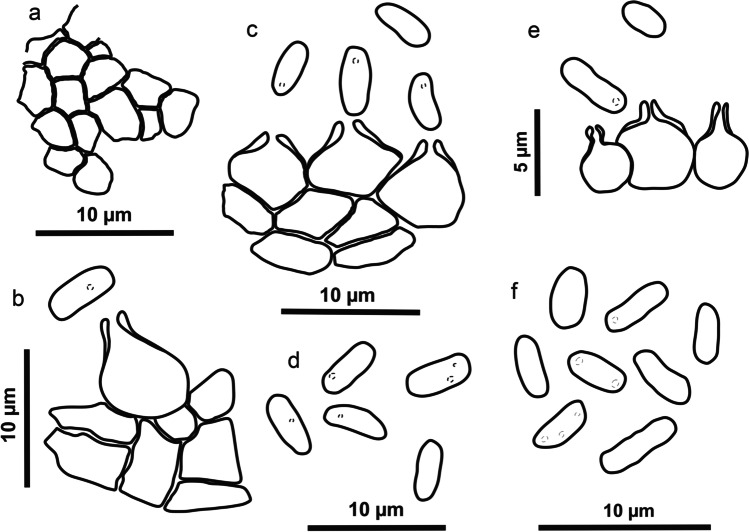 Fig. 8