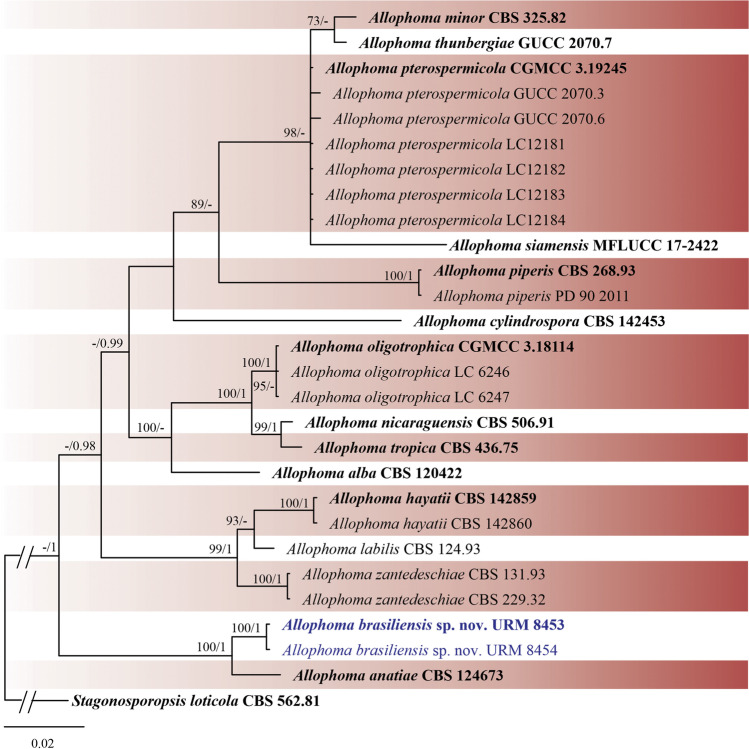 Fig. 4