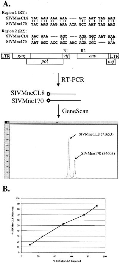 FIG. 1.