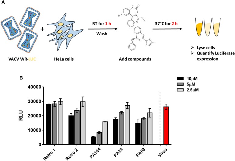 FIGURE 2