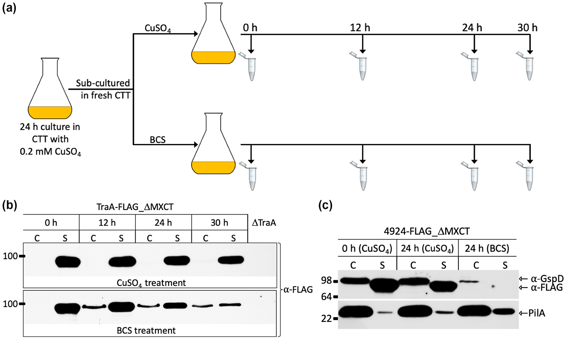 Fig. 6.