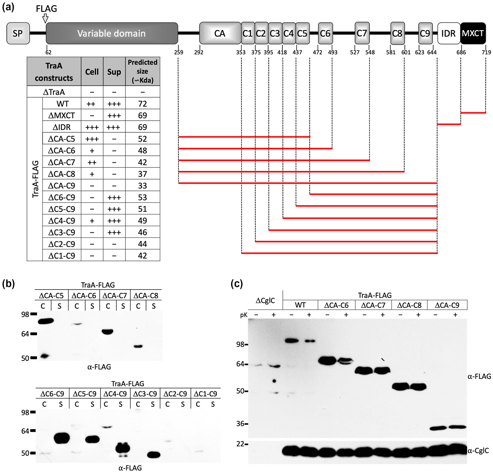 Fig. 4.