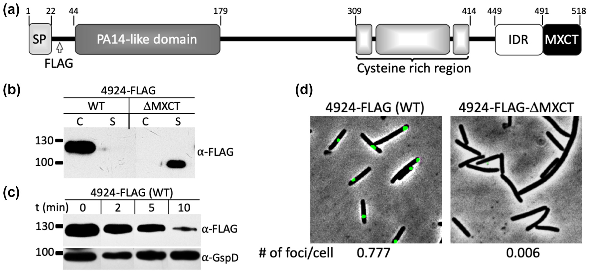 Fig. 5.