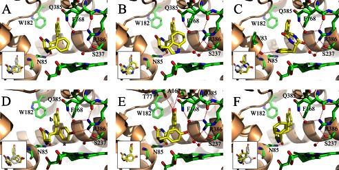 FIGURE 5.