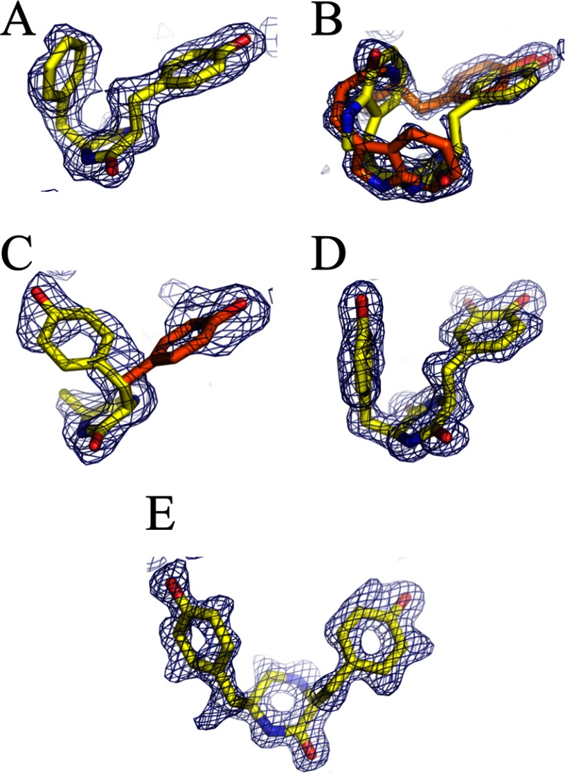 FIGURE 4.