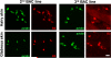 Extended Data Figure 3