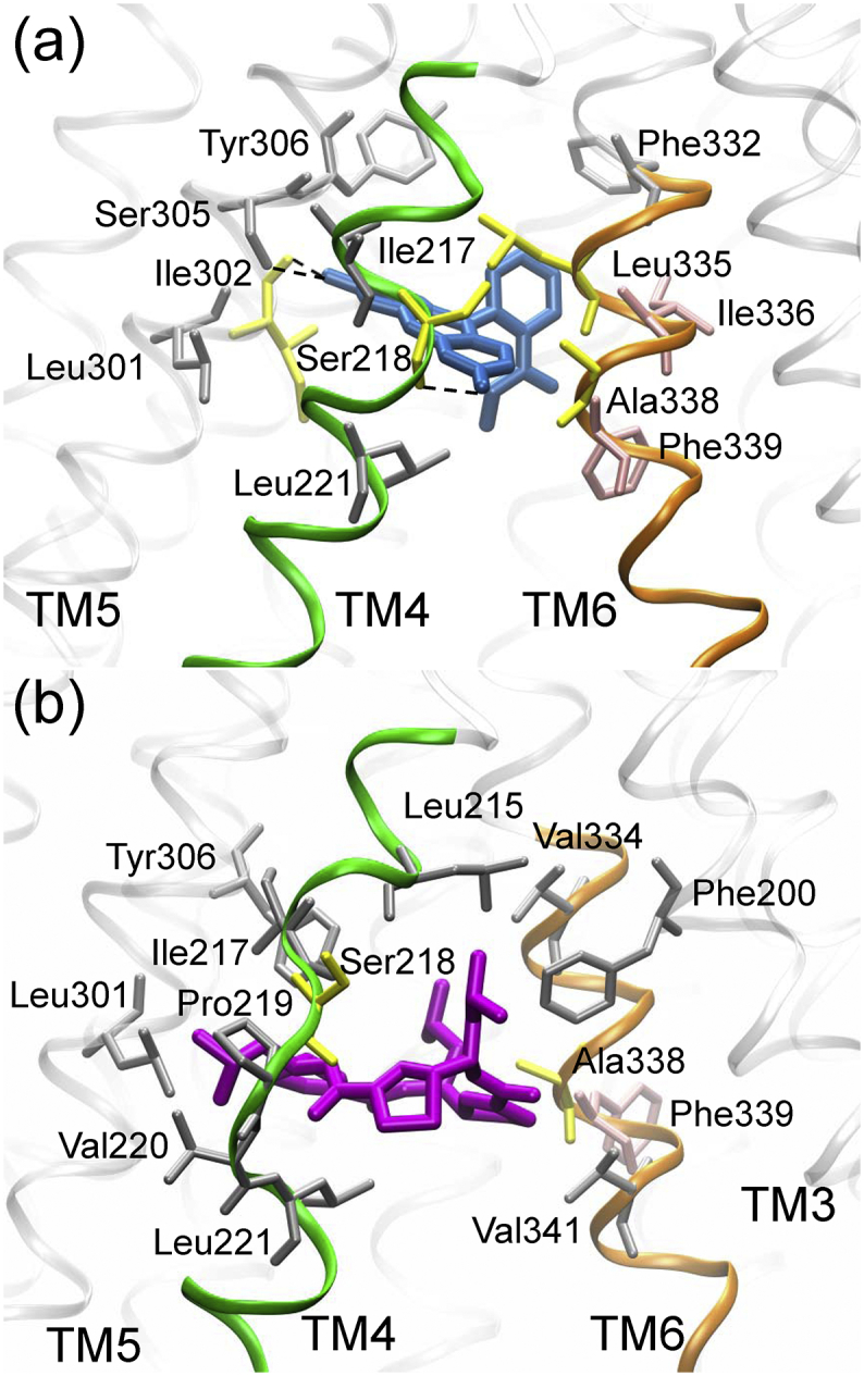 Fig. 3