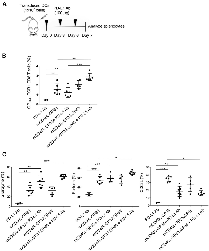 Figure 7