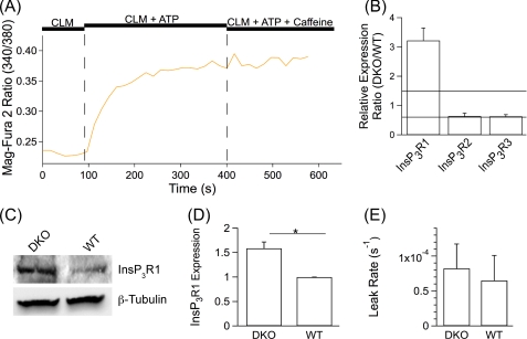 FIGURE 6.