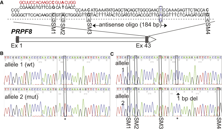 Figure 3