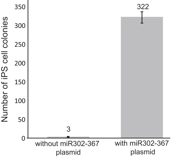 Figure 1