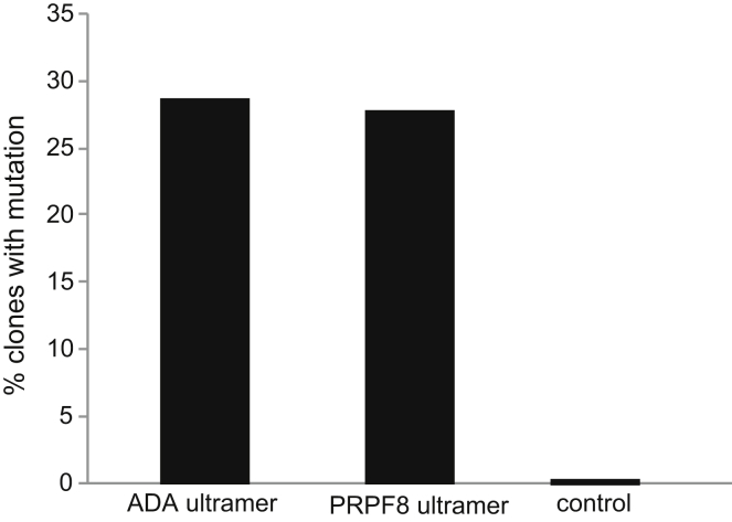 Figure 5