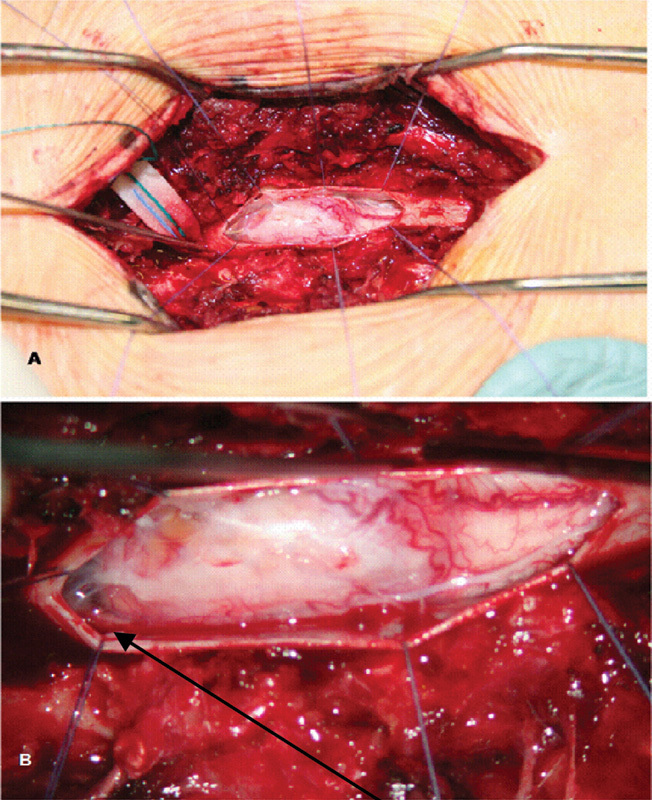 Fig. 3 (