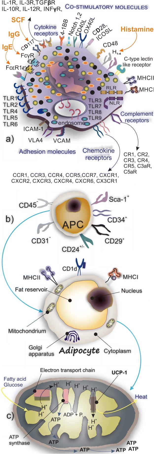 Fig. 2