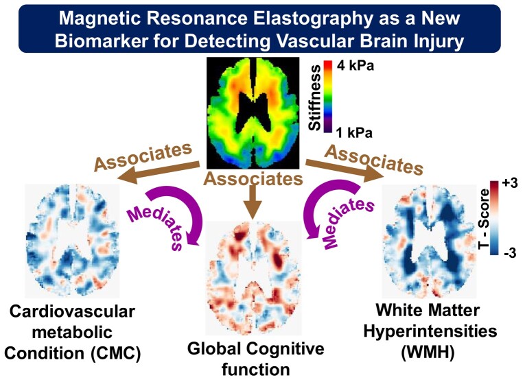 Graphical Abstract