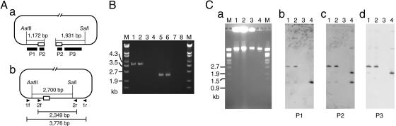 Fig. 3.