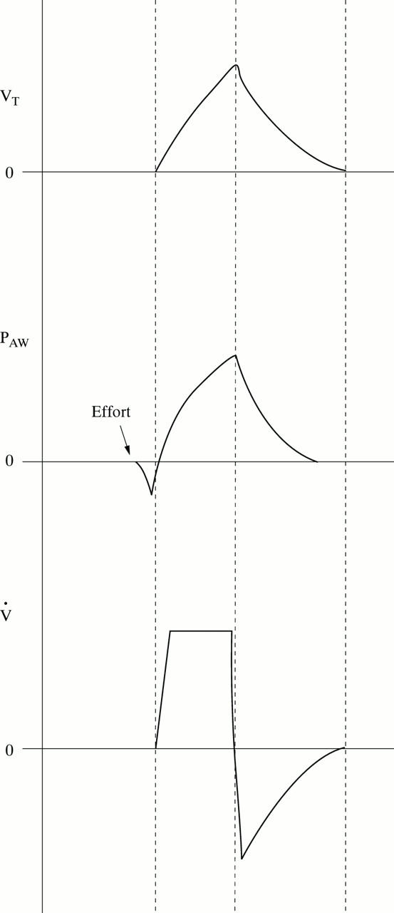 Figure 2  