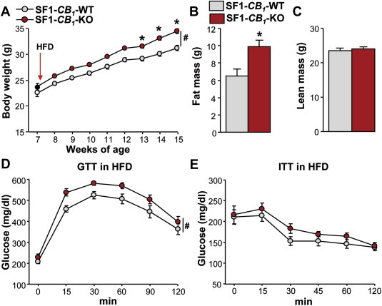 Figure 5