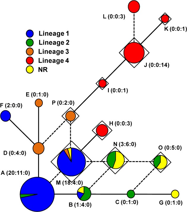 Fig 5