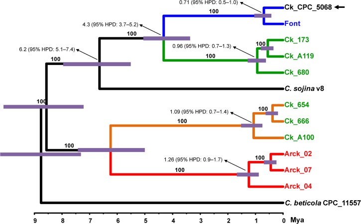 Fig 3