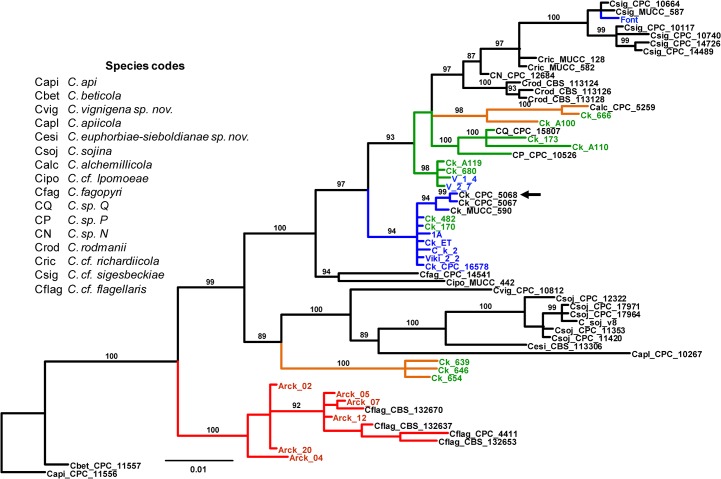 Fig 2