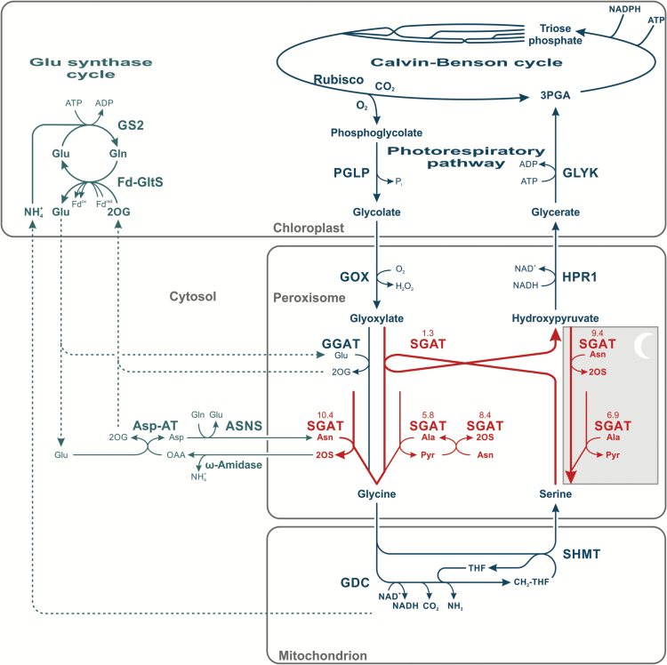 Fig. 1.