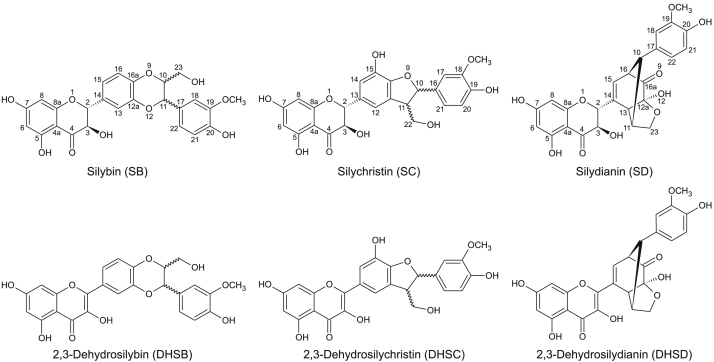 Fig. 1