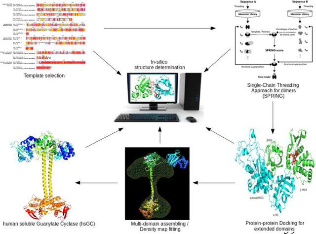 graphic file with name nihms-1528499-f0008.jpg