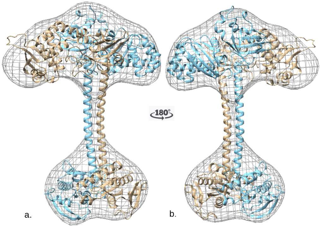 Fig. 6