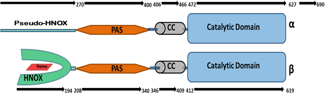 Fig. 1: