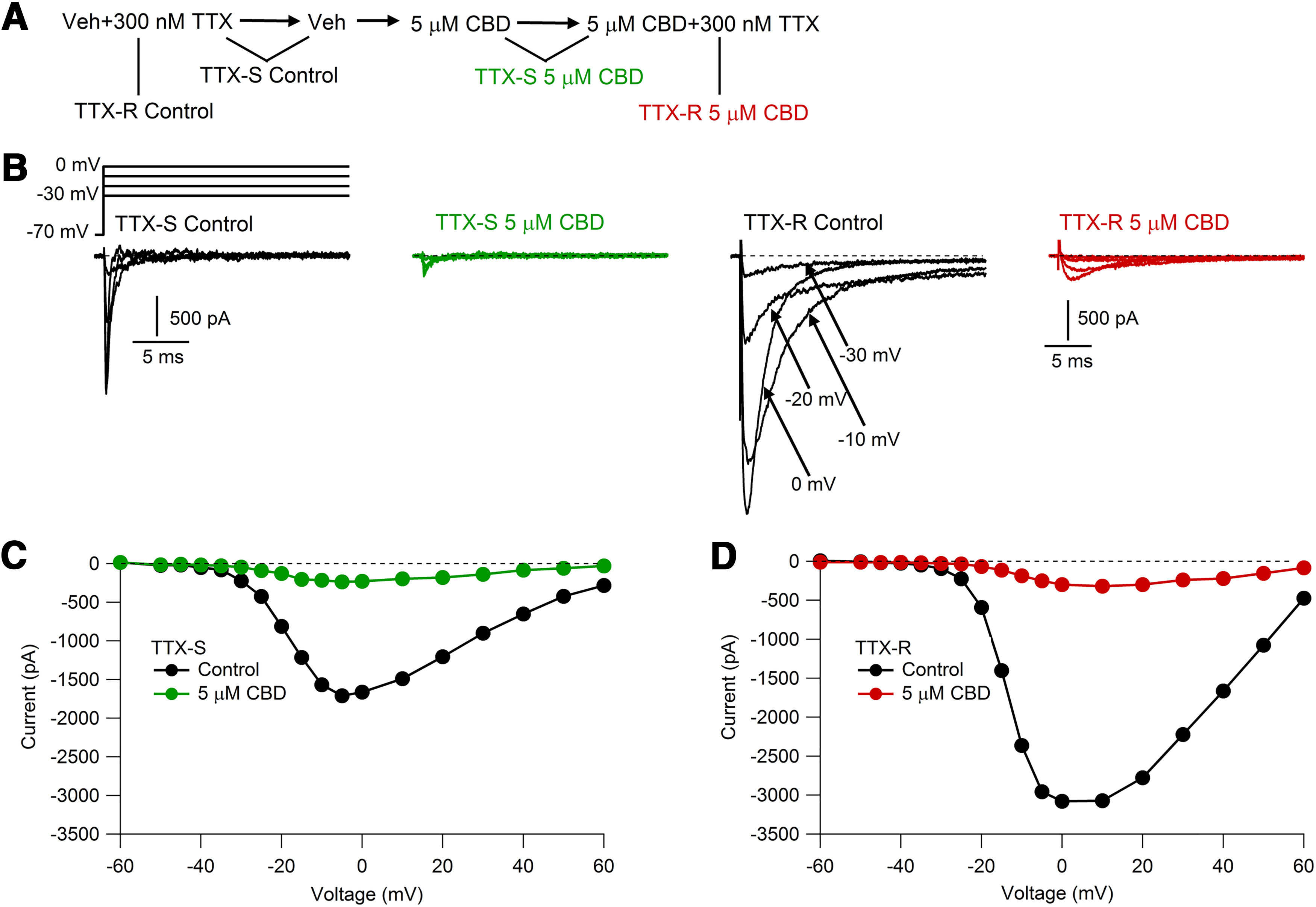 Figure 5.