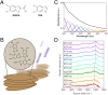 Fig. 1.