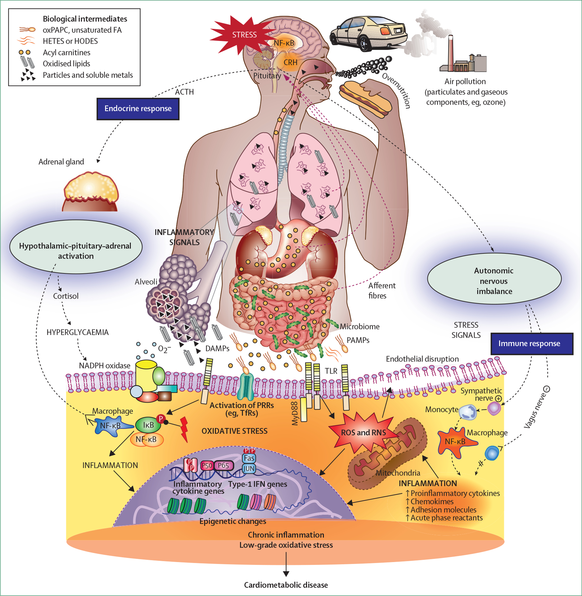 Figure 2: