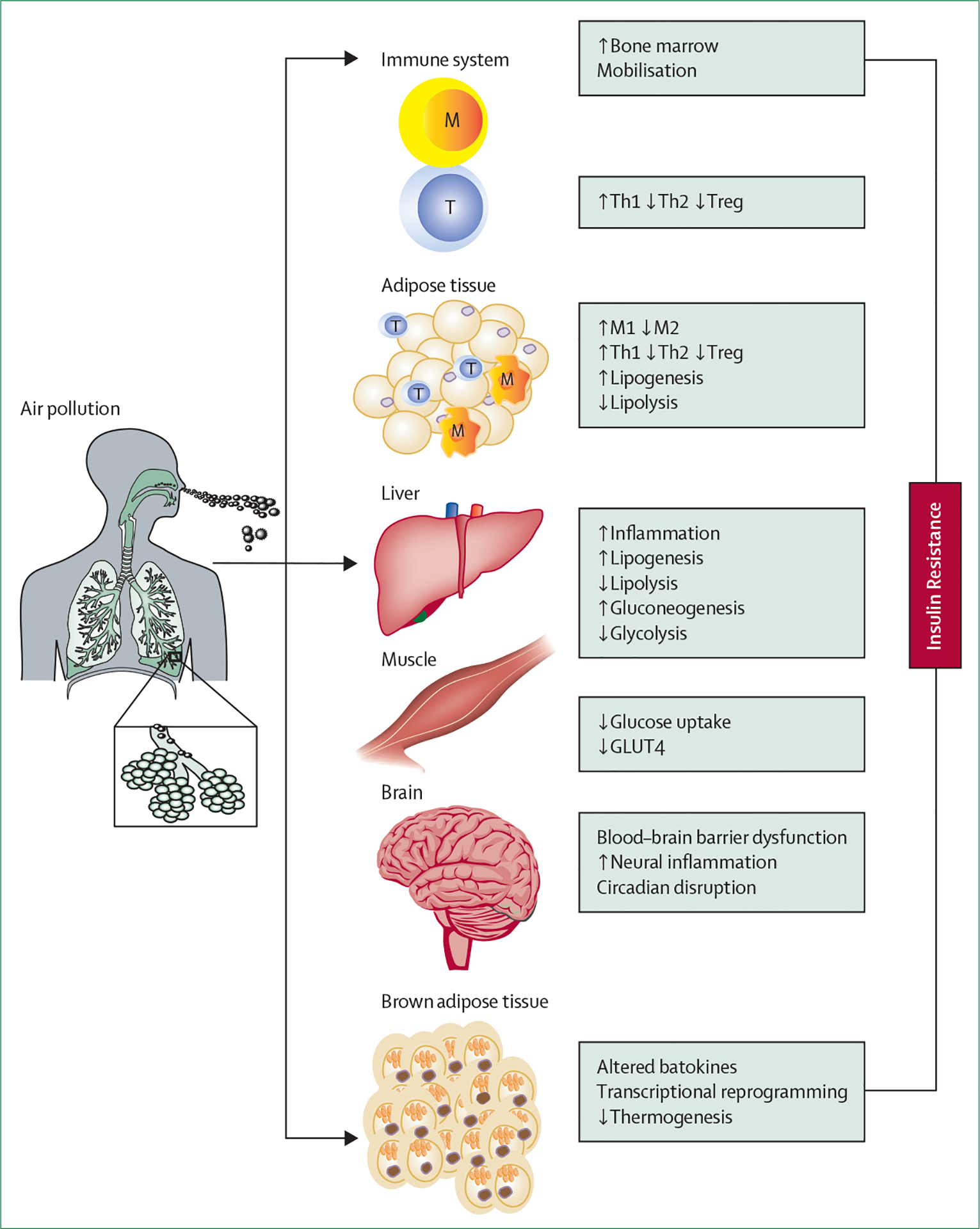 Figure 3: