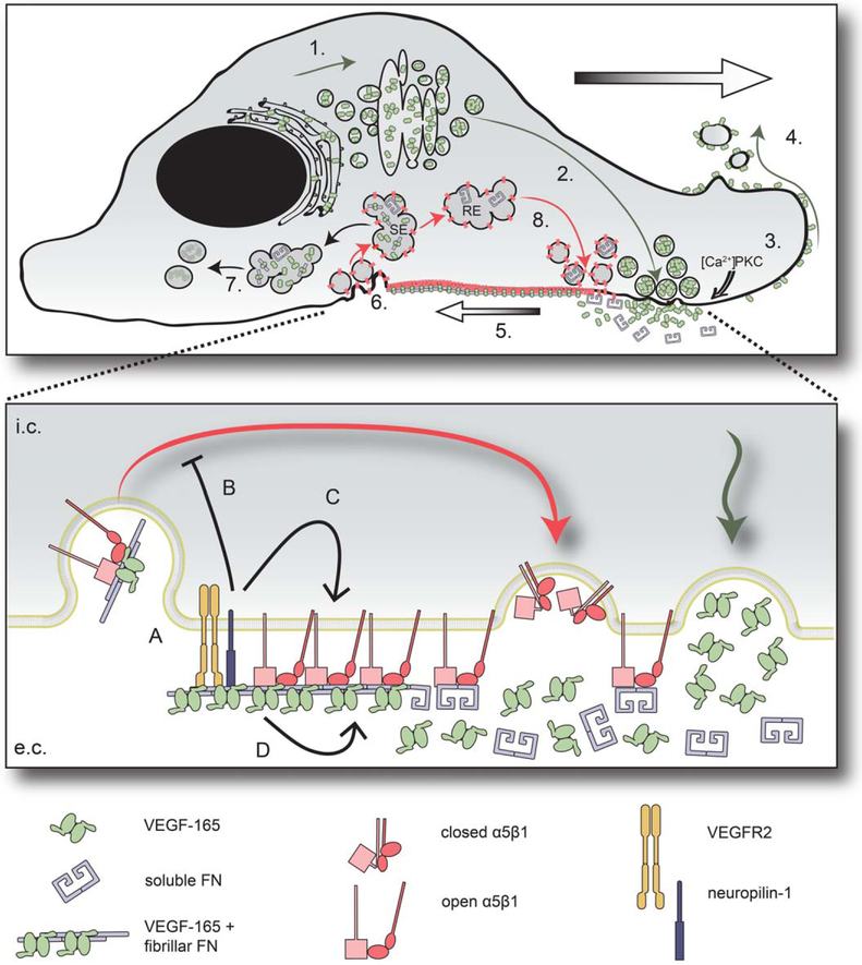 FIGURE 7: