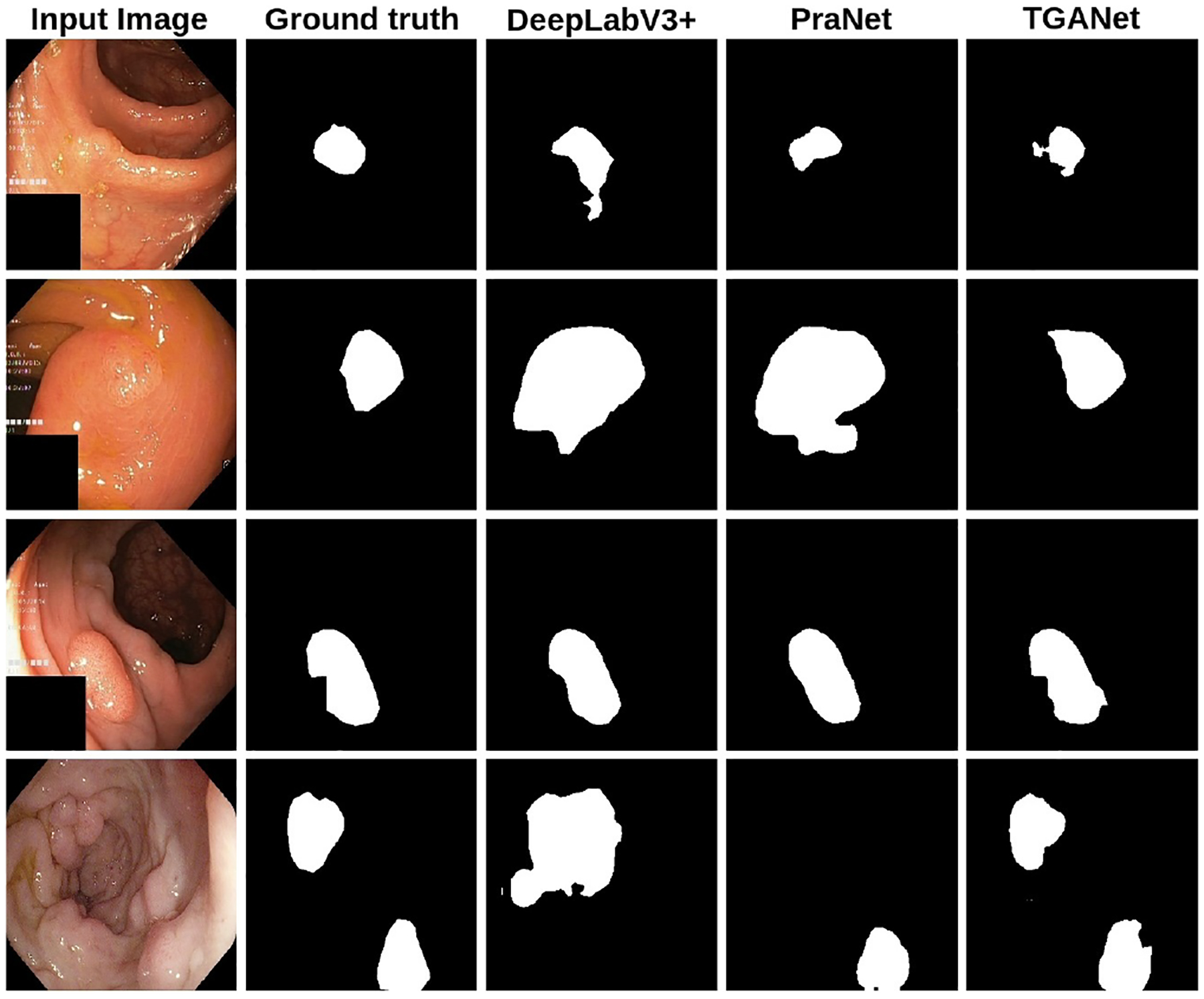 Fig.2: