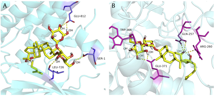 Fig. 10