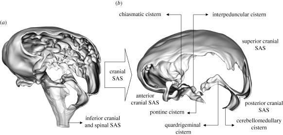 Figure 2.