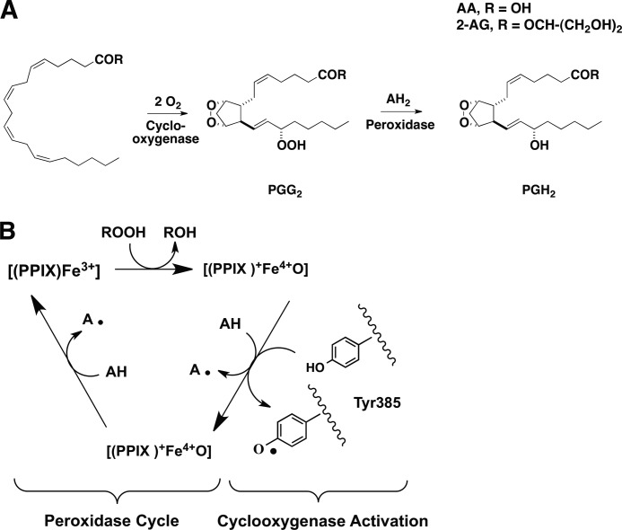 FIGURE 1.