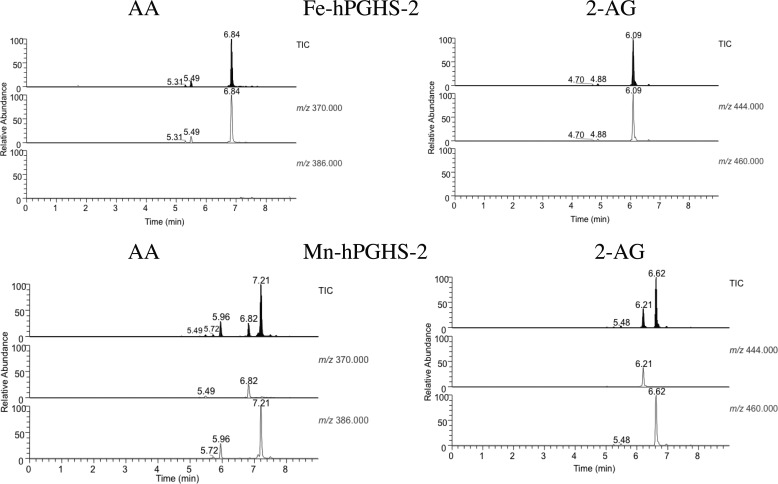 FIGURE 2.