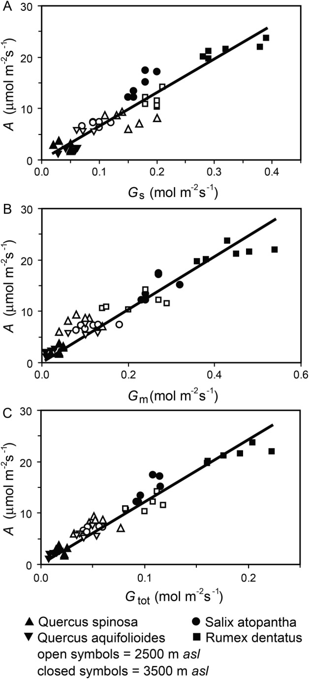 Figure 1.