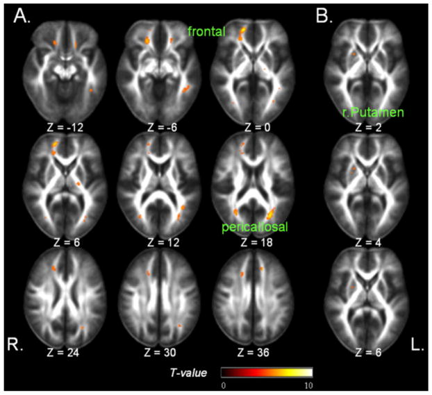 Fig. 7