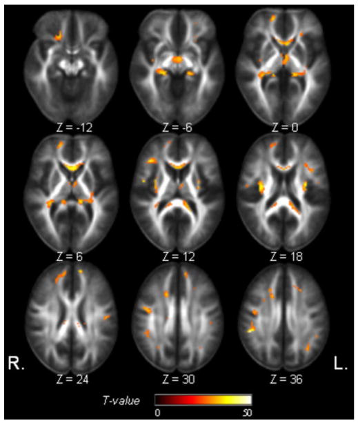 Fig. 5