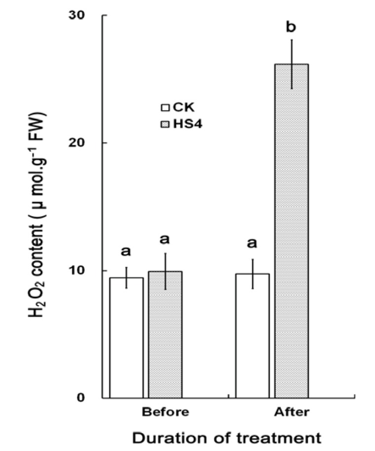 Fig. (4)