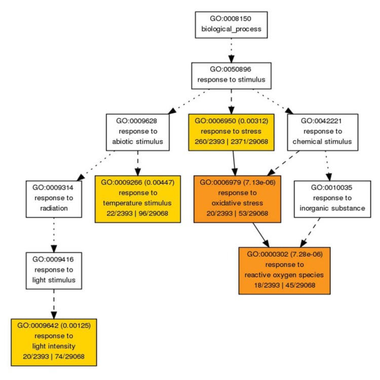 Fig. (3)