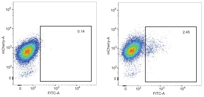 Figure 2—figure supplement 1.