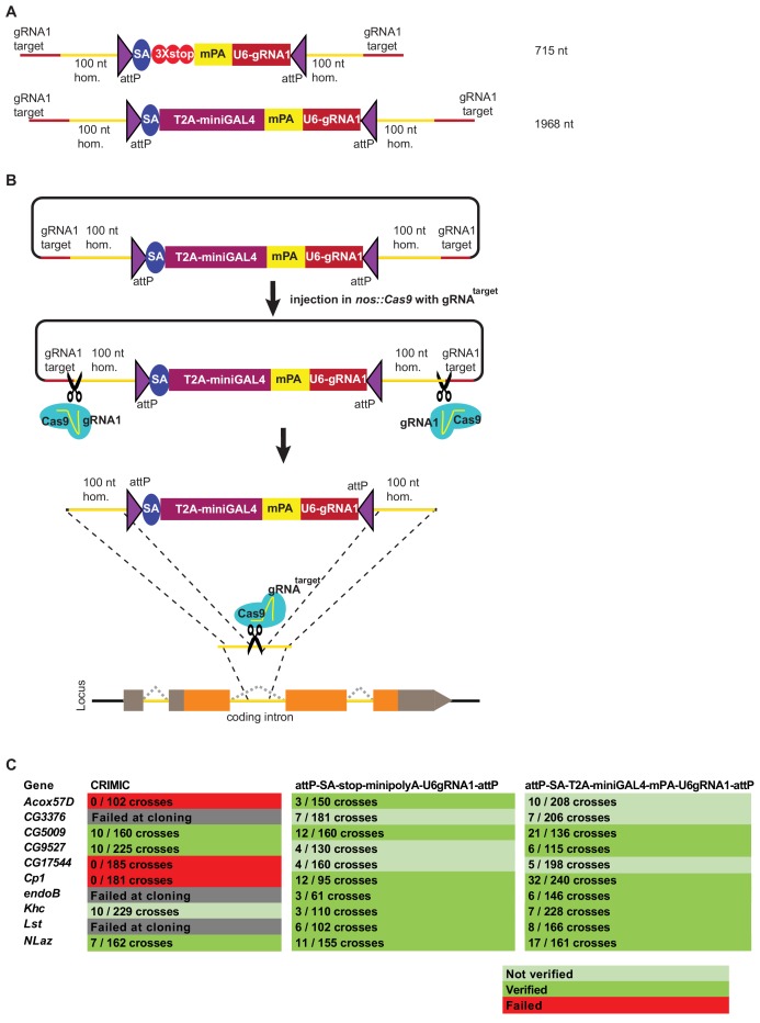 Figure 4.