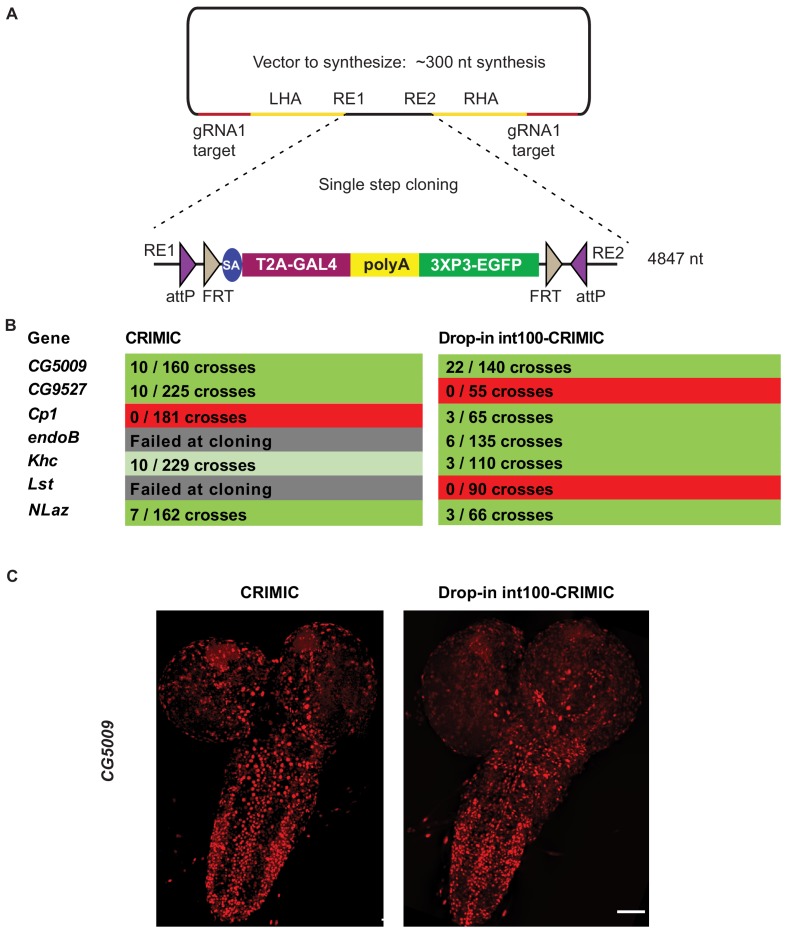 Figure 6.